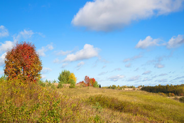 Beautiful autumn landscape with white clouds. Rural place