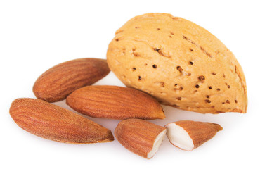 Almond on white background