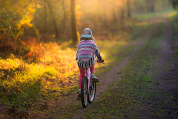 dziewczynka na rowerze w lesie. Piękna polska jesień - obrazy, fototapety, plakaty
