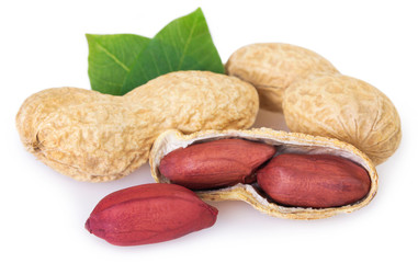 Peanut on white background