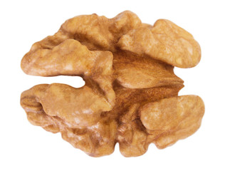 Walnut on white background
