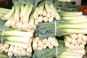 fresh leek on the market