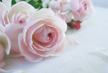 Fototapeta na wymiar Bouquet of beautiful pink roses