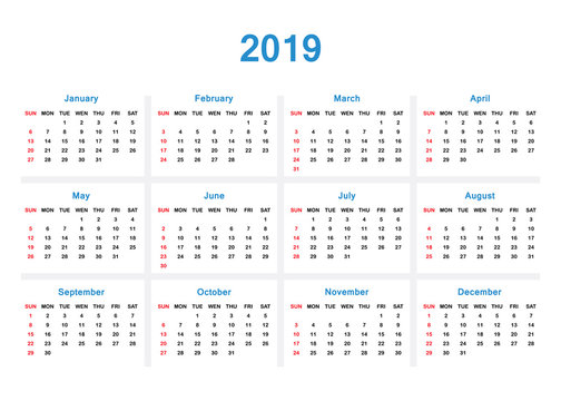 2019 Professional Calendar - vector illustration