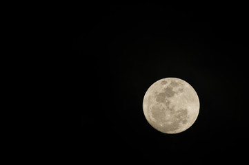 Vollmond im Dschnungel Boliviens © Christoph