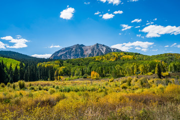 Obraz premium Fall colours in Crested Butte Colorado