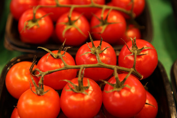 tomatoes on the vine