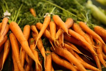 bunch of fresh carrots