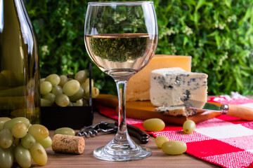 wine table with cheese and grapes