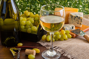 wine table with cheese and grapes