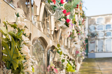 Flowers in a cemetery
