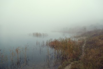 Fototapeta na wymiar Fog on the lakeside