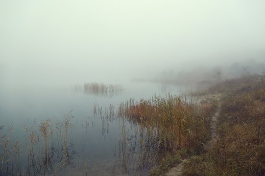 Fototapeta Fog on the lakeside