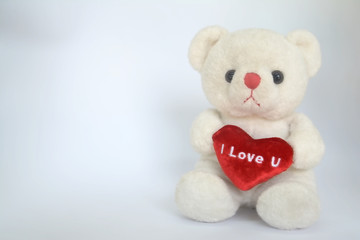 white teddy bear holding red heart on whie background