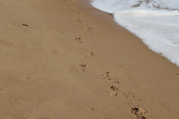 Footprints