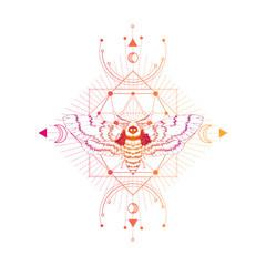 Vector illustration with hand drawn dead head moth and Sacred geometric symbol on white background. Abstract mystic sign. 