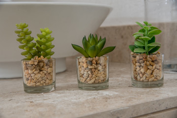macetas decoracion interior vasos con piedras y plantas