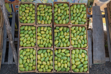 Tunas verdes y rojas huacales de tunas fruta de nopal