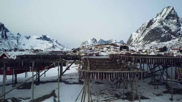 4k Drone footage - Racks of dried cod fish in Reine, Norway.  Lofoten Islands