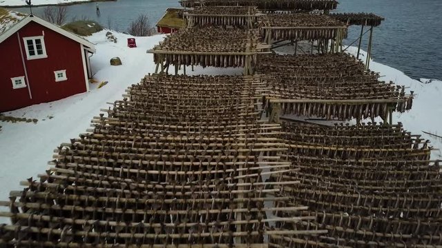 4k Drone footage - Racks of dried cod fish in Reine, Norway.  Lofoten Islands