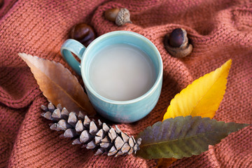 cup of coffee with an autumn leaf and cones on a knitted sweater close-up, top view, copy space