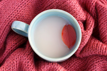 cup of coffee with an autumn leaf on a knitted sweater close-up, top view