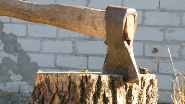 Large village ax sticking in tree stump