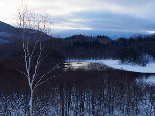 冬の早朝の白樺と小野川湖