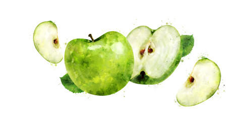 Green Apple on white background. Watercolor illustration