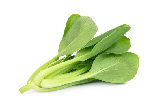 fresh green bok choy,chinese cabbage or pak chai isolated on white background