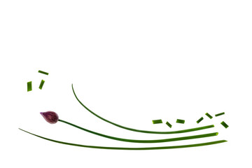 isolated chive stalks on white background with copy space above