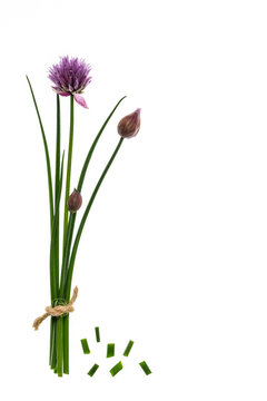 bunch of chives with copy space on right