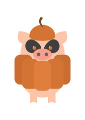 Pigs for Halloween Pumpkin Costumes. Cartoon Vector