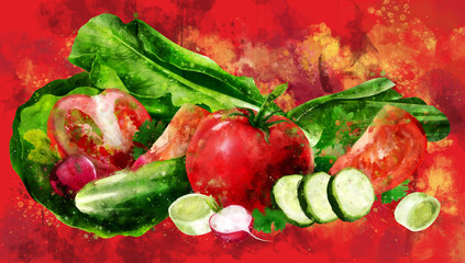 Tomato , cucumber and salad on red background. Watercolor illustration