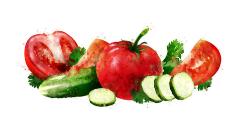 Tomato , cucumber and salad on white background. Watercolor illustration