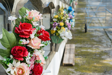 Flowers in a cemetery