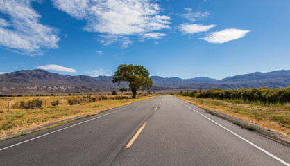 Highway with lone tree heading into the distant mountains