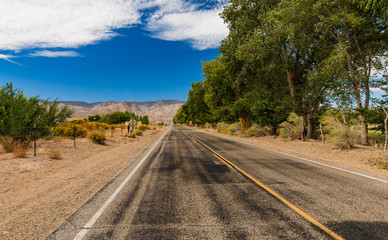 Country highway with aligned with trees.