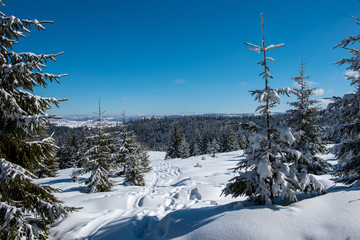 Winter landscape with snow on trees