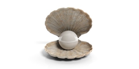 Pearl in a shell isolated on white background. 3d illustration