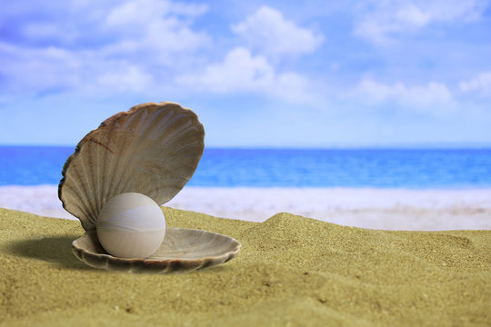 Pearl in an oyster shell on a sandy beach. 3d illustration