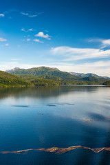 Fototapeta premium Floating driftwood along beautiful Principe Channel, British Columbia, Canada.
