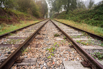 railway in the forest