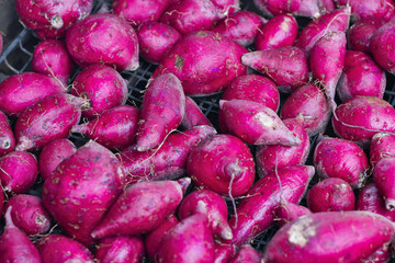 A pile of purple Sweet potato piled on metal mesh.