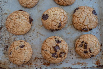 Chocolate Chip Cookies 