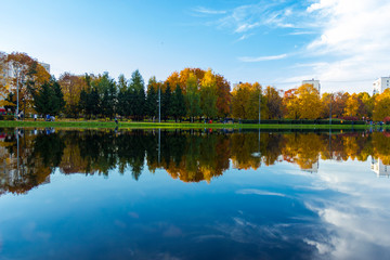 lake in the park in sunny evening