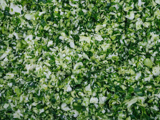 chopped fresh green cabbage for cooking traditional Russian cabbage soup close-up