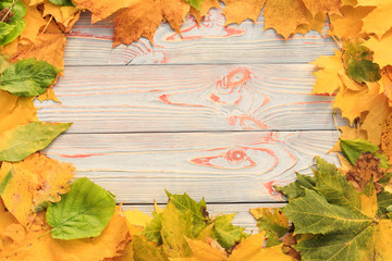 Naklejka na ściany i meble Autumn leaves on old wooden background with copy space