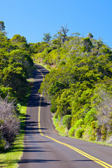 Fototapeta na wymiar Koke'e State Park Road, Kauai