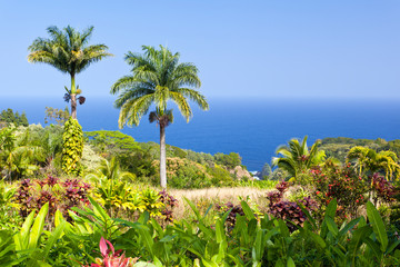 Tropical Garden Landscape, Maui